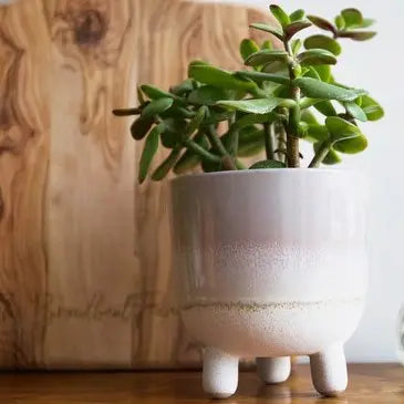 Sass & Belle Kruka Stengods